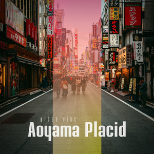 Aoyama Rainy Streets