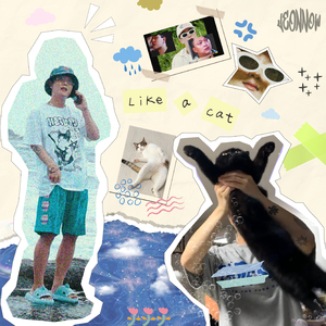 임시보호 (Like a cat) (Feat. Jhunnit)