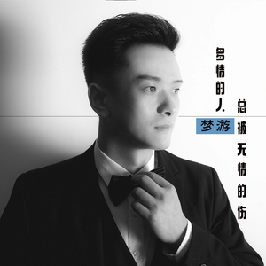 多情的人总被无情的伤