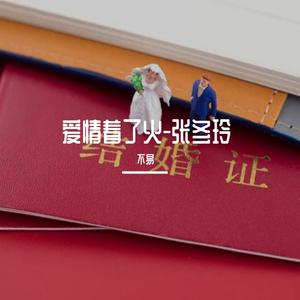 爱情着了火(cover__张冬玲)