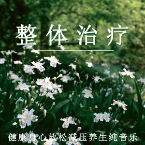 健康身心放松减压（轻松纯音乐）