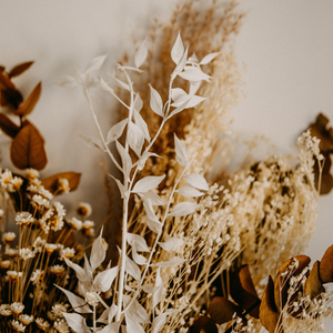 Darling, Without You