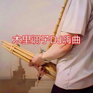 超嗨木里葫芦DJ打跳舞曲 (Remix)