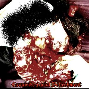 Exquisite Facial Defleshment
