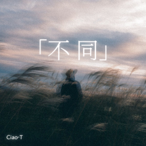 不同（温柔男声版）