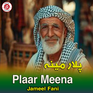 Plaar Meena