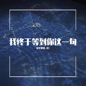 终于等到这一句（翻自 小乐哥）