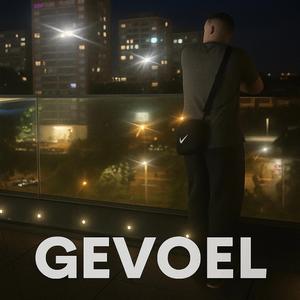 Gevoel