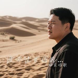 逃不过世俗风沙（Cover 大头针）