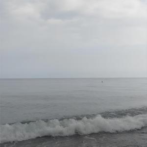 Картины (Live)