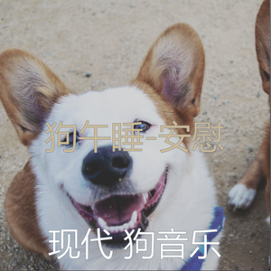 狗午睡-音乐