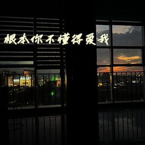 根本你不懂得爱我