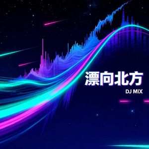 漂向北方DJ（DJ小方 remix）