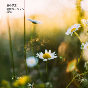 春の予定 (病院バージョン)