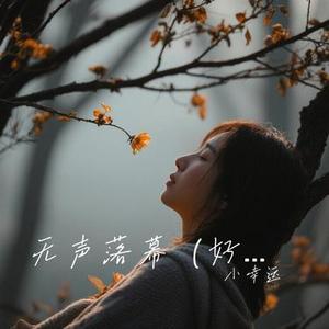 无声落幕