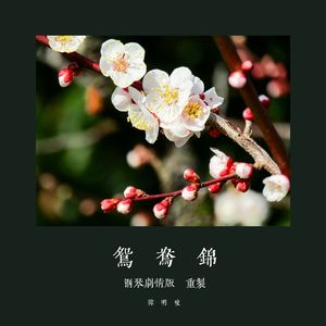 鸳鸯锦（钢琴剧情版配乐 重制）