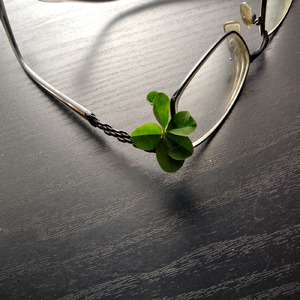 果てなき三千里の道