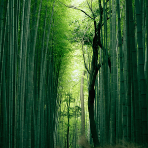 Mhysa (from "Game of Thrones")