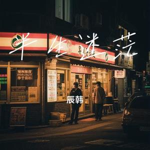 半生迷茫