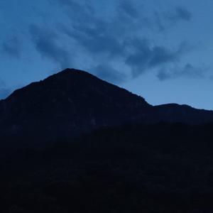 大象无声 也无意