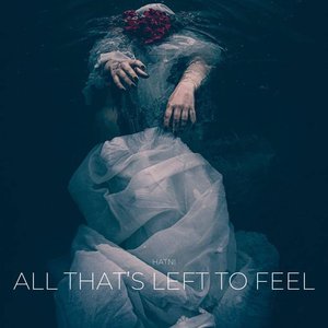 When the Noise Is Gone