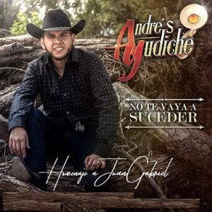 No te vaya a suceder (Homenaje a Juan Gabriel) (Cover)