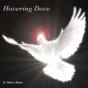 Hovering Dove