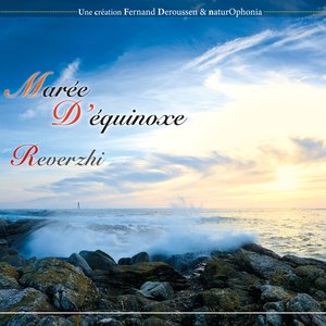 19h19 - Multitude d'oiseaux