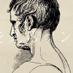 Airhead（翻自 初音ミク）