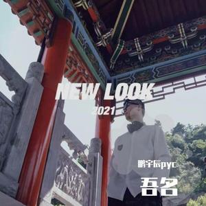 《吾名鹏宇辰》