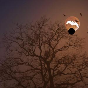 Uishi maisha mema (Radio Edit)