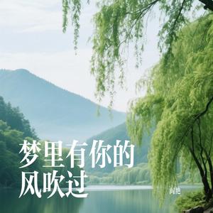梦里有你的风吹过