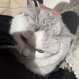差一点点.wav