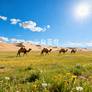 心向苍穹