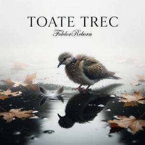 TOATE TREC