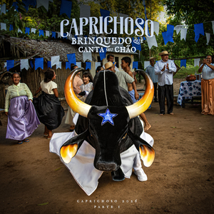 Surdão do Bacuri