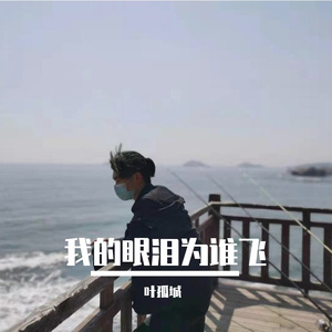 我的眼泪为谁飞