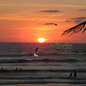 Dogs Of Summer Haven