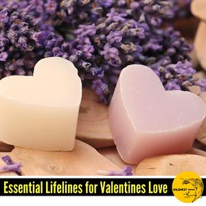 Calm Storms on Keys (D Sharp Minor)