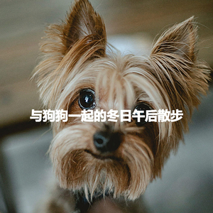 Quiet Ambience for Simple Interests