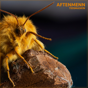 Ferjemann (Remiks & Remastret 2022)