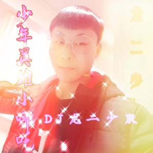 少年英雄小哪吒(DJ龙二少版)