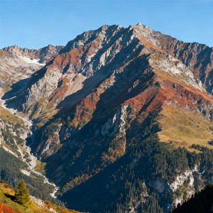 春天油菜花开了