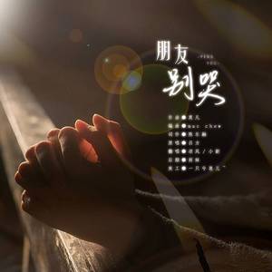 朋友别哭（live版）