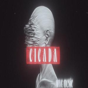 Snap (feat. AstroKane & AALLXX)