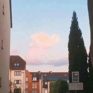 在这路遥马急的人间，你就是漫山遍野的温柔