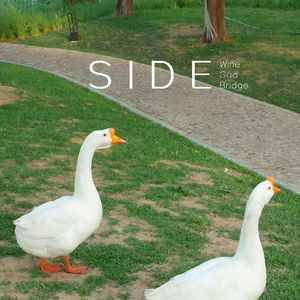 03 红霞 Rosy Clouds