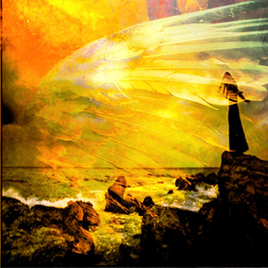 The Promise Of Snakes