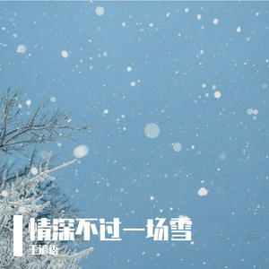 情深不过一场雪MMM