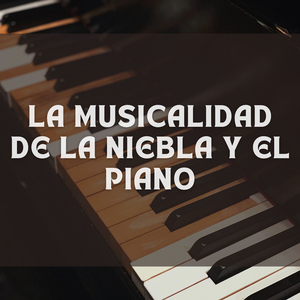 Órgano Convencional